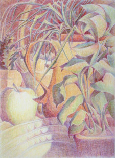 97 - Still Life with Green Apple and Tropical Plants, $250 (Colored Pencil, 11" x 15")