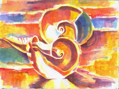 231 - Two Broken Spiral Shells, $175 (Watercolor, 7.5" x 10")