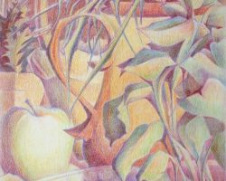 97 - Still Life with Green Apple and Tropical Plants, $250 (Colored Pencil, 11" x 15")