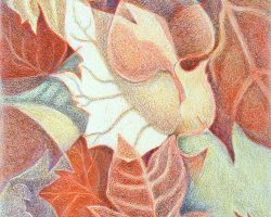 98 - Leaves Along the Path, $185 (Colored Pencil, 8" x 10")